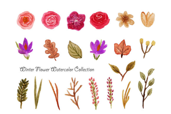 Download Winter Flower Watercolor - Winter Collection