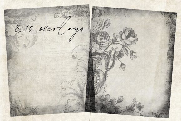 Download Floral Overlays 8x10 - Overlay Collection
