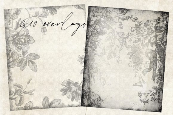 Download Floral Overlays 1 - Overlay Collection