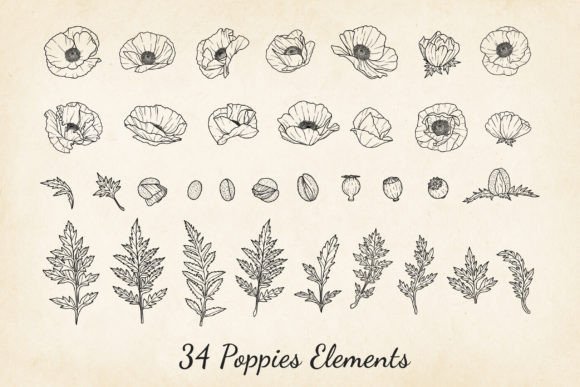 Download Poppies SVG, Poppy Fine Line Vector - Pop Collection